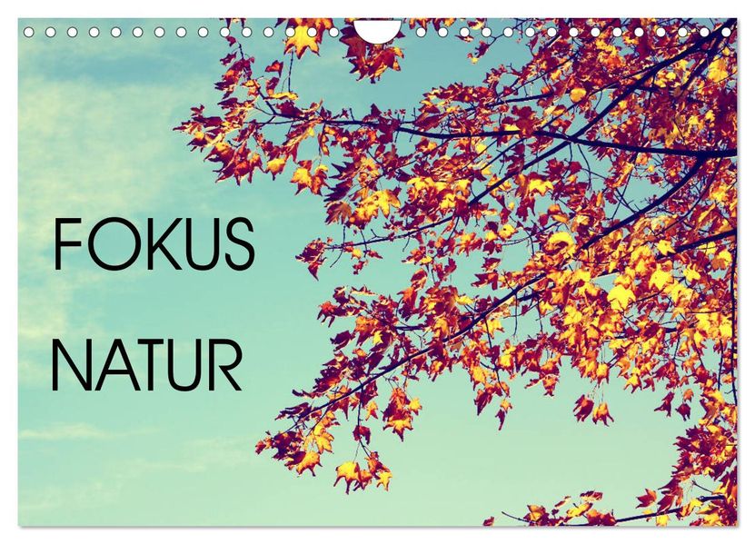 Focus Natur (Wandkalender 2027 DIN A4 quer) CALVENDO Monatskalender