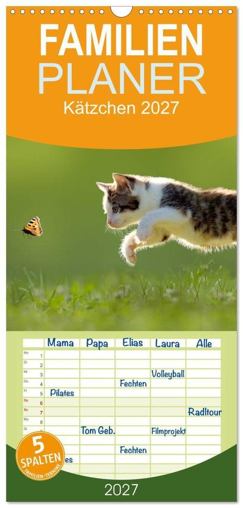 Familienplaner 2027 - Kätzchen 2027 mit 5 Spalten (Wandkalender 21 x 45 cm) CALVENDO