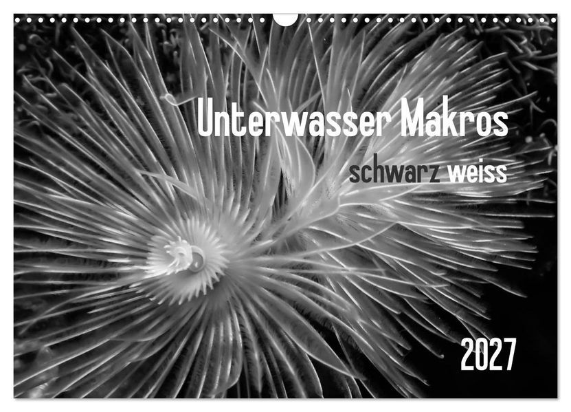 Unterwasser Makros - schwarz weiss 2027 (Wandkalender 2027 DIN A3 quer) CALVENDO Monatskalender