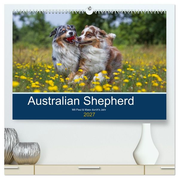 Australian Shepherd 2027 (hochwertiger Premium Wandkalender 2027 DIN A2 quer) Kunstdruck in Hochglanz