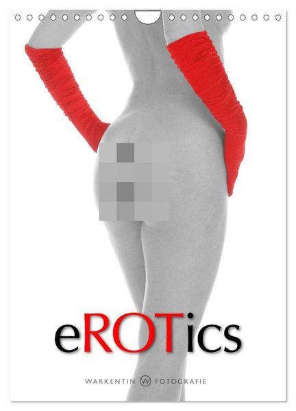 eROTics (Wandkalender 2027 DIN A4 hoch) CALVENDO Monatskalender