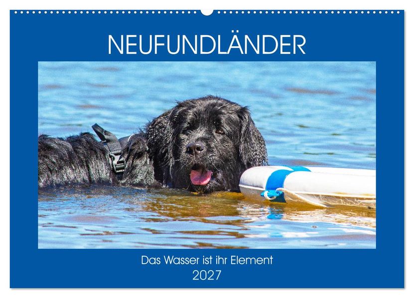 Neufundländer - Das Wasser ist ihr Element (Wandkalender 2027 DIN A2 quer) CALVENDO Monatskalender