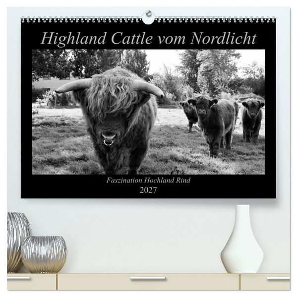Highland Cattle vom Nordlicht - Faszination Hochland Rind (hochwertiger Premium Wandkalender 2027 DIN A2 quer) Kunstdruck in Hochglanz