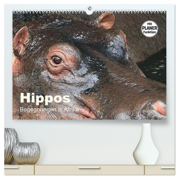 Hippos - Begegnungen in Afrika (hochwertiger Premium Wandkalender 2027 DIN A2 quer) Kunstdruck in Hochglanz