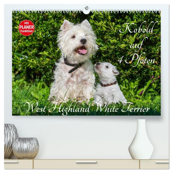 Kobold auf 4 Pfoten - West Highland White Terrier (hochwertiger Premium Wandkalender 2027 DIN A2 quer) Kunstdruck in Hochglanz