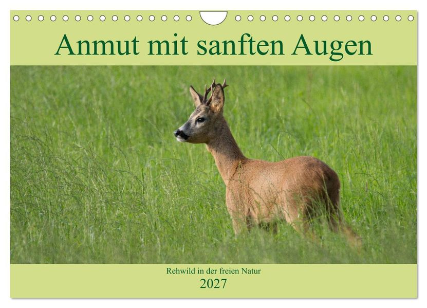 Anmut mit sanften Augen - Rehwild in der freien Natur (Wandkalender 2027 DIN A4 quer) CALVENDO Monatskalender