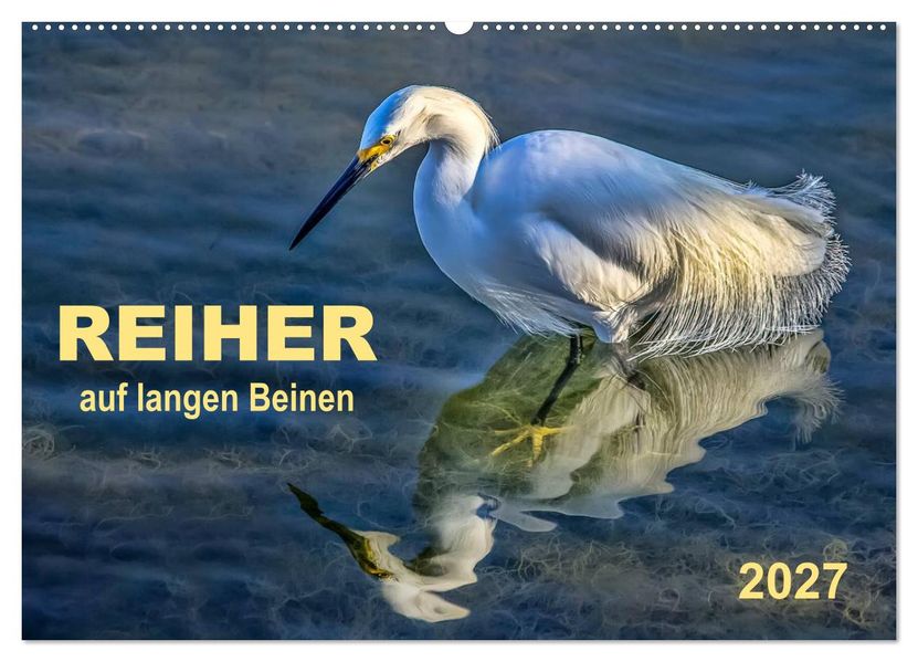 Reiher - auf langen Beinen (Wandkalender 2027 DIN A2 quer) CALVENDO Monatskalender
