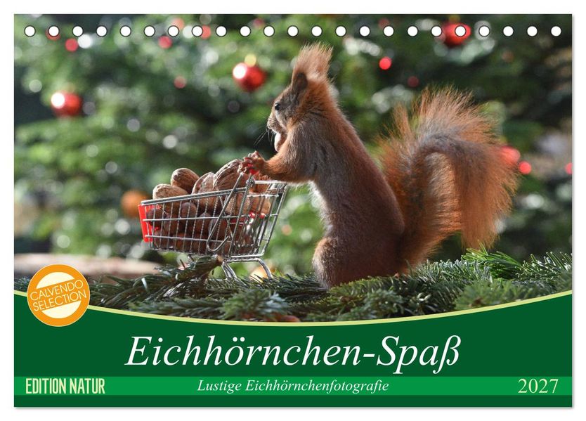 Eichhörnchen-Spaß (Tischkalender 2027 DIN A5 quer) CALVENDO Monatskalender