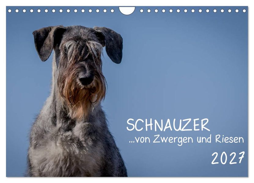 Schnauzer... von Zwergen und Riesen 2027 (Wandkalender 2027 DIN A4 quer) CALVENDO Monatskalender