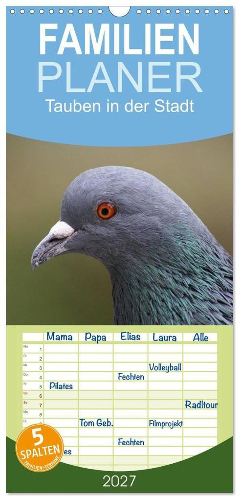 Familienplaner 2027 - Tauben in der Stadt mit 5 Spalten (Wandkalender 21 x 45 cm) CALVENDO