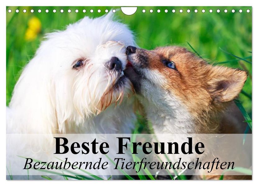 Beste Freunde - Bezaubernde Tierfreundschaften (Wandkalender 2027 DIN A4 quer) CALVENDO Monatskalender