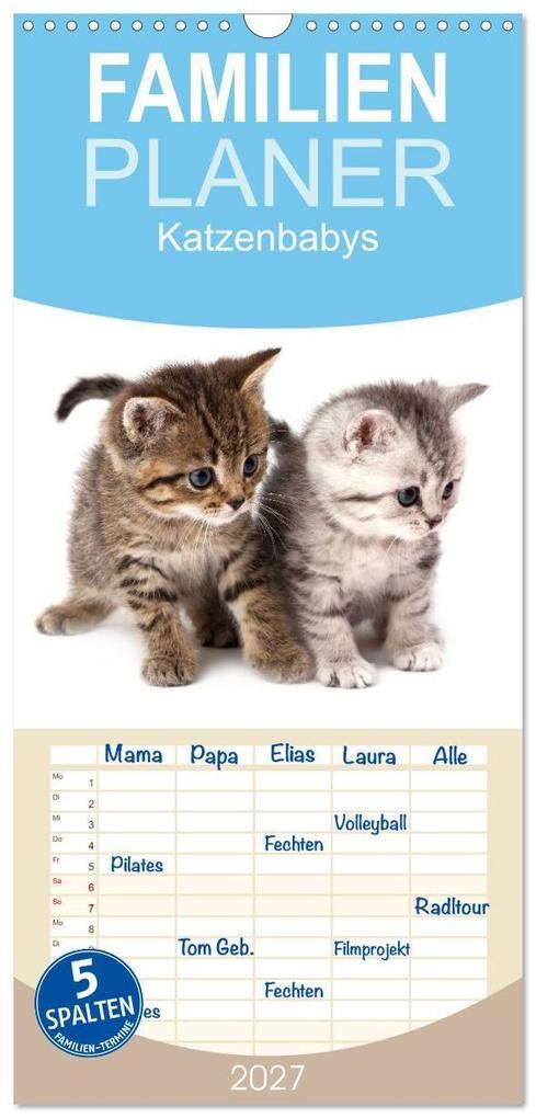 Familienplaner 2027 - Katzenbabys mit 5 Spalten (Wandkalender 21 x 45 cm) CALVENDO