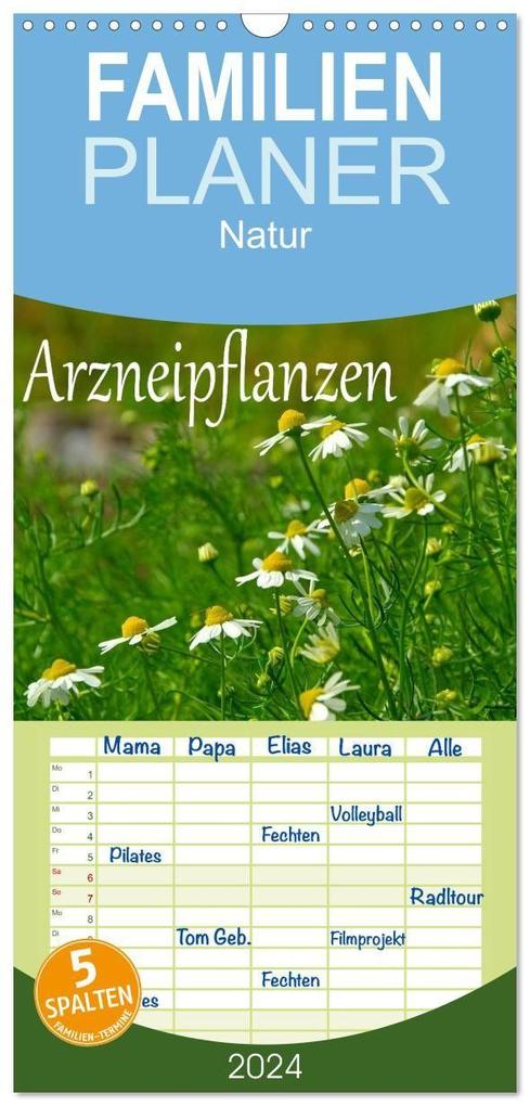 Familienplaner 2027 - Arzneipflanzen mit 5 Spalten (Wandkalender 21 x 45 cm) CALVENDO