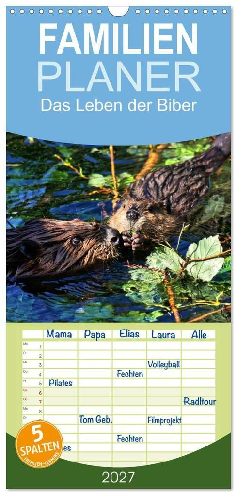 Familienplaner 2027 - Das Leben der Biber mit 5 Spalten (Wandkalender 21 x 45 cm) CALVENDO