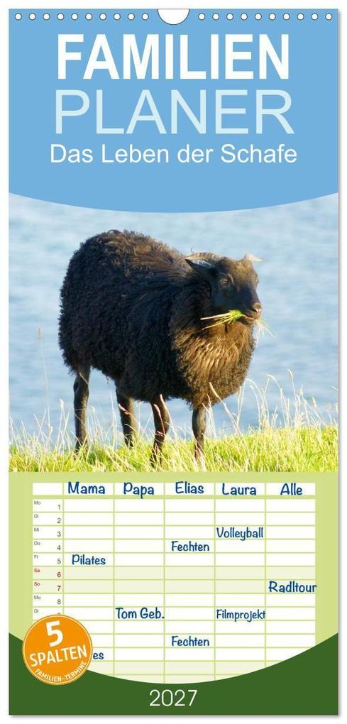 Familienplaner 2027 - Das Leben der Schafe mit 5 Spalten (Wandkalender 21 x 45 cm) CALVENDO