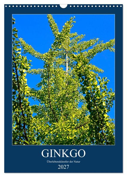 Ginkgo (Wandkalender 2027 DIN A3 hoch) CALVENDO Monatskalender
