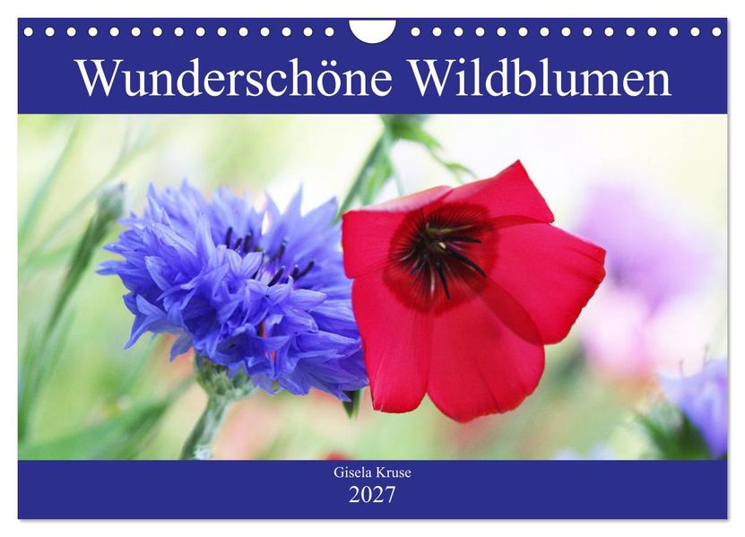 Wunderschöne Wildblumen (Wandkalender 2027 DIN A4 quer) CALVENDO Monatskalender
