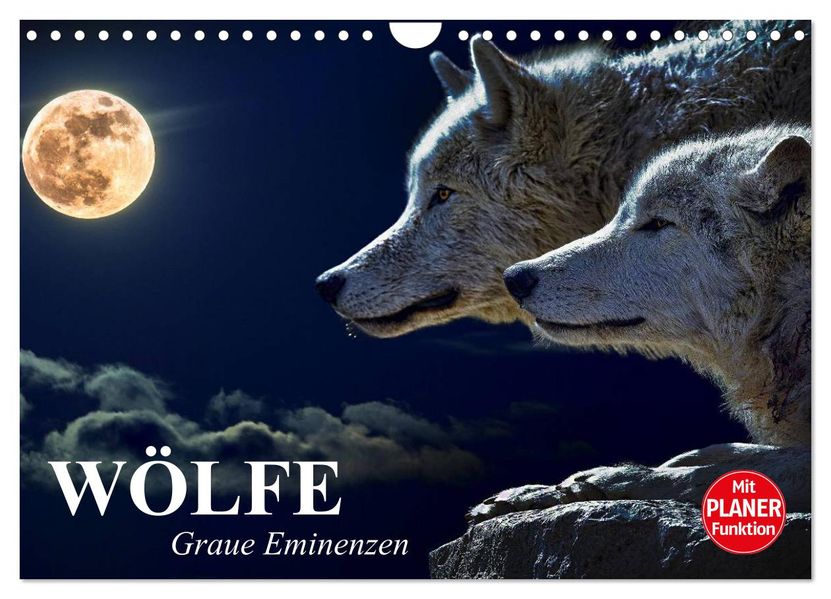 Wölfe. Graue Eminenzen (Wandkalender 2027 DIN A4 quer) CALVENDO Monatskalender