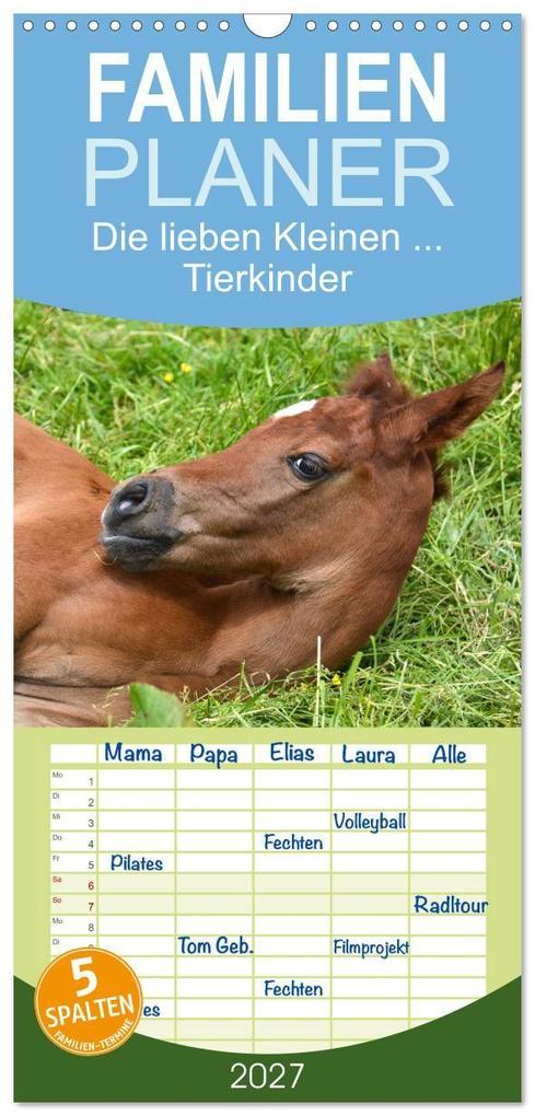 Familienplaner 2027 - Die lieben Kleinen... Tierkinder einfach zum Knuddeln mit 5 Spalten (Wandkalender 21 x 45 cm) CALVENDO