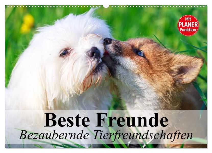 Beste Freunde. Bezaubernde Tierfreundschaften (Wandkalender 2027 DIN A2 quer) CALVENDO Monatskalender