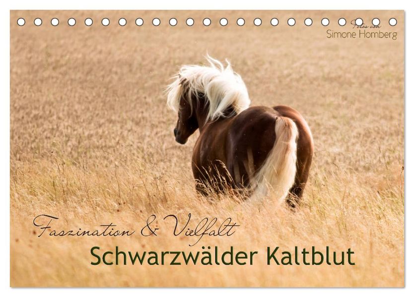 Faszination und Vielfalt - Schwarzwälder Kaltblut (Tischkalender 2027 DIN A5 quer) CALVENDO Monatskalender