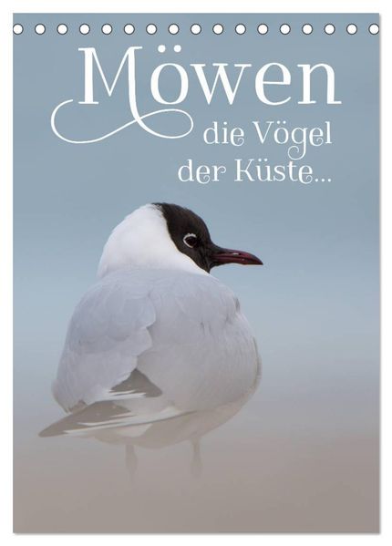 Möwen - die Vögel der Küste (Tischkalender 2027 DIN A5 hoch) CALVENDO Monatskalender