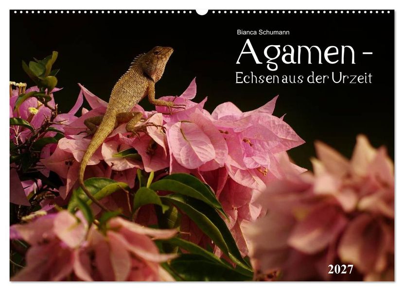 Agamen - Echsen aus der Urzeit (Wandkalender 2027 DIN A2 quer) CALVENDO Monatskalender
