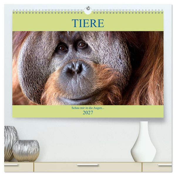 Tiere Schau mir in die Augen (hochwertiger Premium Wandkalender 2027 DIN A2 quer) Kunstdruck in Hochglanz