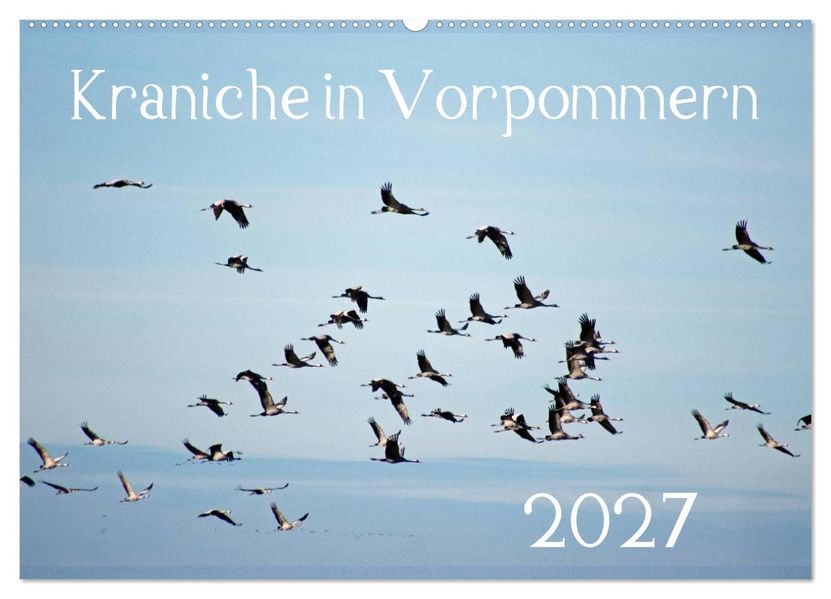 Kraniche in Vorpommern (Wandkalender 2027 DIN A2 quer) CALVENDO Monatskalender