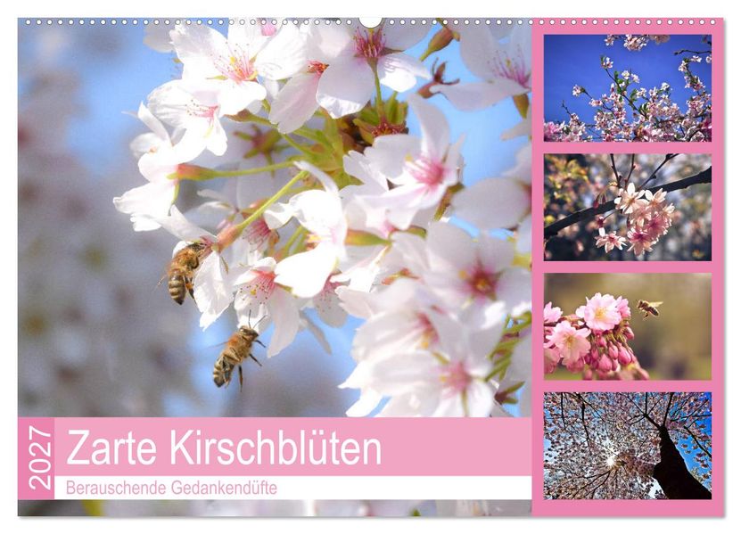 Zarte Kirschblüten - Berauschende Gedankendüfte (Wandkalender 2027 DIN A2 quer) CALVENDO Monatskalender