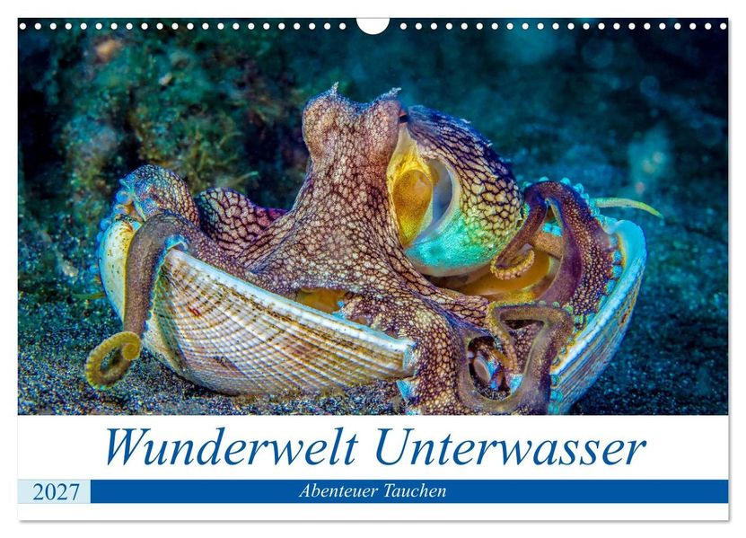Wunderwelt Unterwasser (Wandkalender 2027 DIN A3 quer) CALVENDO Monatskalender