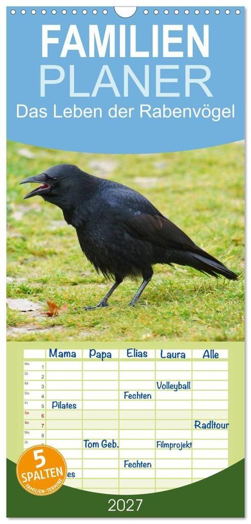 Familienplaner 2027 - Das Leben der Rabenvögel mit 5 Spalten (Wandkalender 21 x 45 cm) CALVENDO