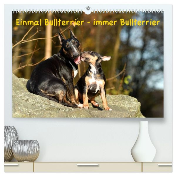 Einmal Bullterrier - immer Bullterrier (hochwertiger Premium Wandkalender 2027 DIN A2 quer) Kunstdruck in Hochglanz