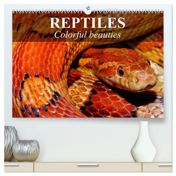 Reptiles Colorful beauties (High Quality Premium Wall Calendar 2027 DIN A2 landscape)CALVENDO 12 Month Wall Calendar