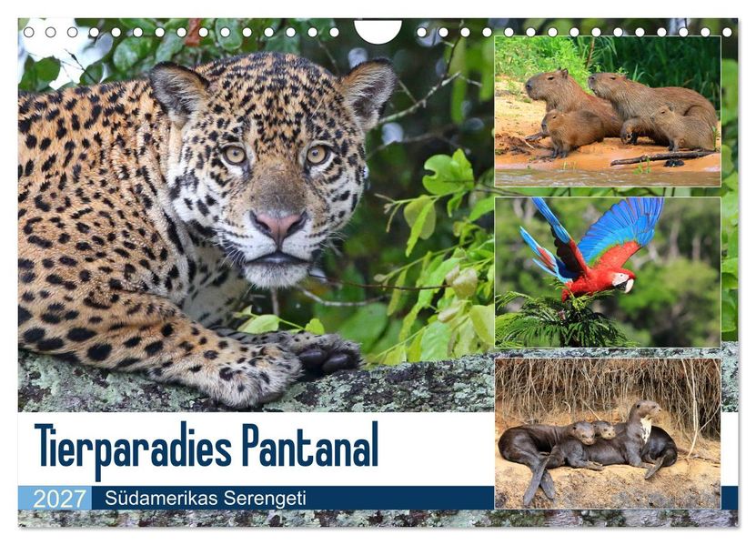 Tierparadies Pantanal (Wandkalender 2027 DIN A4 quer) CALVENDO Monatskalender