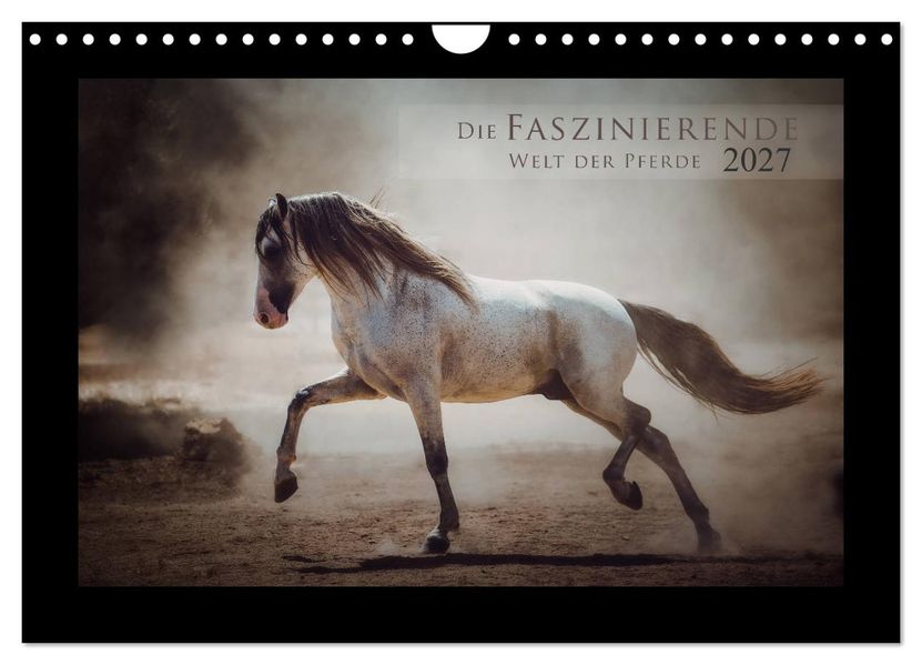 Die Faszinierende Welt der Pferde (Wandkalender 2027 DIN A4 quer) CALVENDO Monatskalender