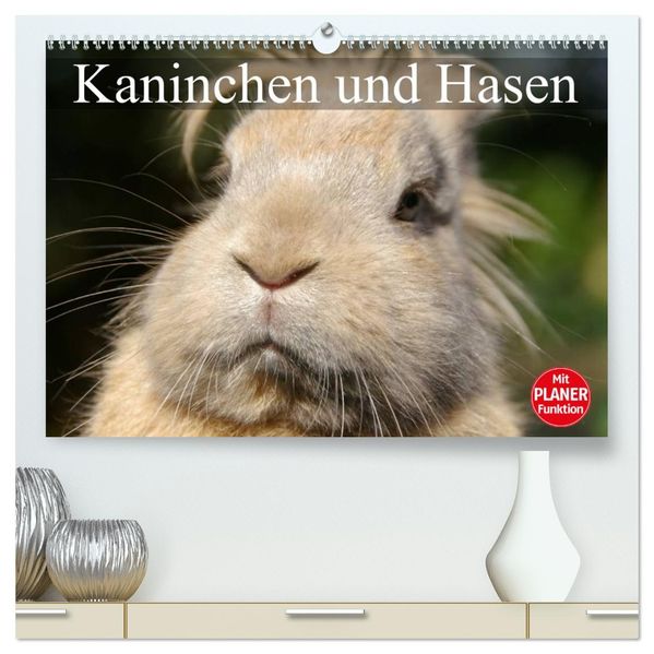 Kaninchen und Hasen (hochwertiger Premium Wandkalender 2027 DIN A2 quer) Kunstdruck in Hochglanz