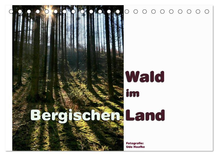 Wald im Bergischen Land 2027 (Tischkalender 2027 DIN A5 quer) CALVENDO Monatskalender