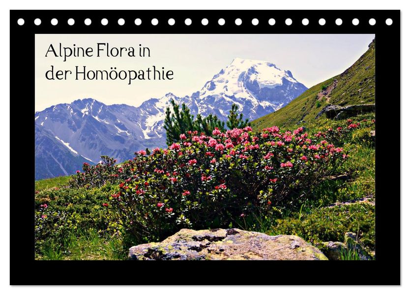 Alpine Flora in der Homöopathie (Tischkalender 2027 DIN A5 quer) CALVENDO Monatskalender