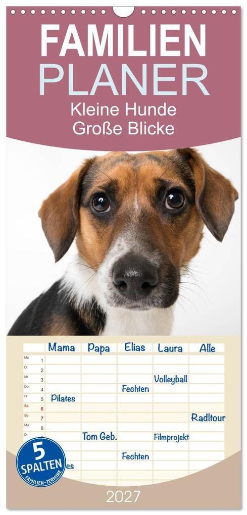 Familienplaner 2027 - Kleine Hunde - Große Blicke mit 5 Spalten (Wandkalender 21 x 45 cm) CALVENDO