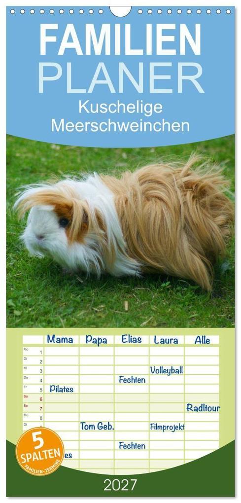 Familienplaner 2027 - Kuschelige Meerschweinchen mit 5 Spalten (Wandkalender 21 x 45 cm) CALVENDO
