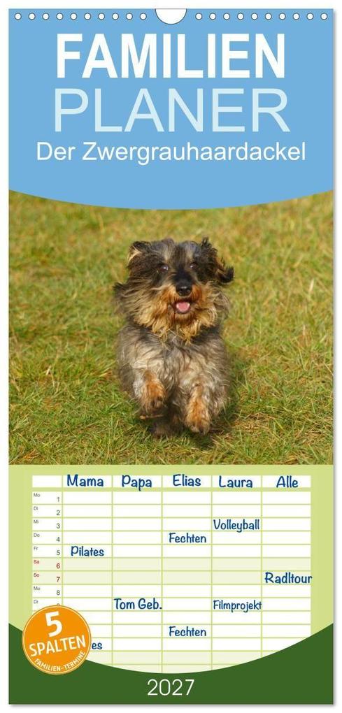 Familienplaner 2027 - Der Zwergrauhaardackel - Eigensinnig und Liebenswert mit 5 Spalten (Wandkalender 21 x 45 cm) CALVENDO
