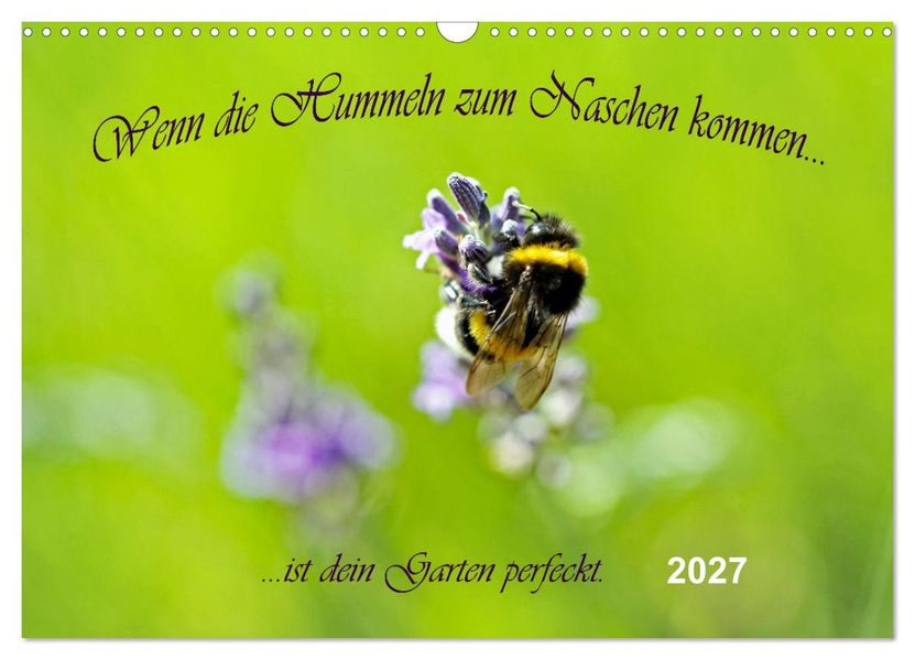 Wenn die Hummeln zum naschen kommen ist dein Garten perfekt (Wandkalender 2027 DIN A3 quer) CALVENDO Monatskalender