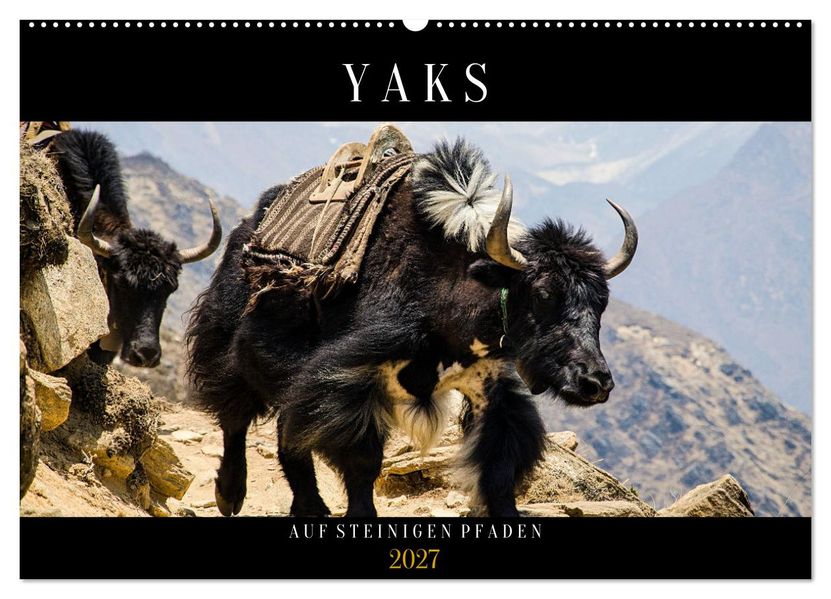 Yaks - auf steinigen Pfaden (Wandkalender 2027 DIN A2 quer) CALVENDO Monatskalender