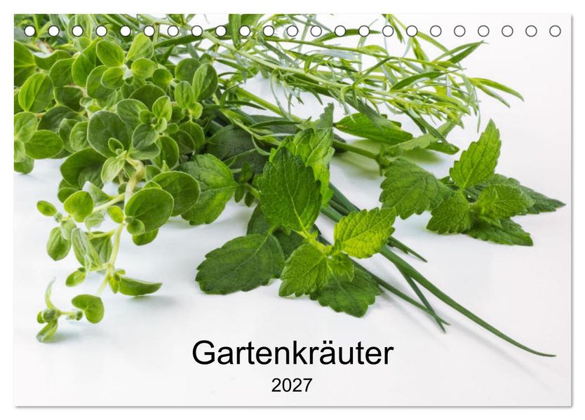 Gartenkräuter (Tischkalender 2027 DIN A5 quer) CALVENDO Monatskalender