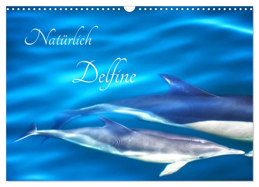 Natürlich Delfine (Wandkalender 2027 DIN A3 quer) CALVENDO Monatskalender