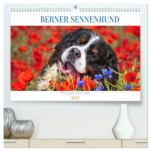 Berner Sennenhund - Eine Liebe fürs Leben (hochwertiger Premium Wandkalender 2027 DIN A2 quer) Kunstdruck in Hochglanz