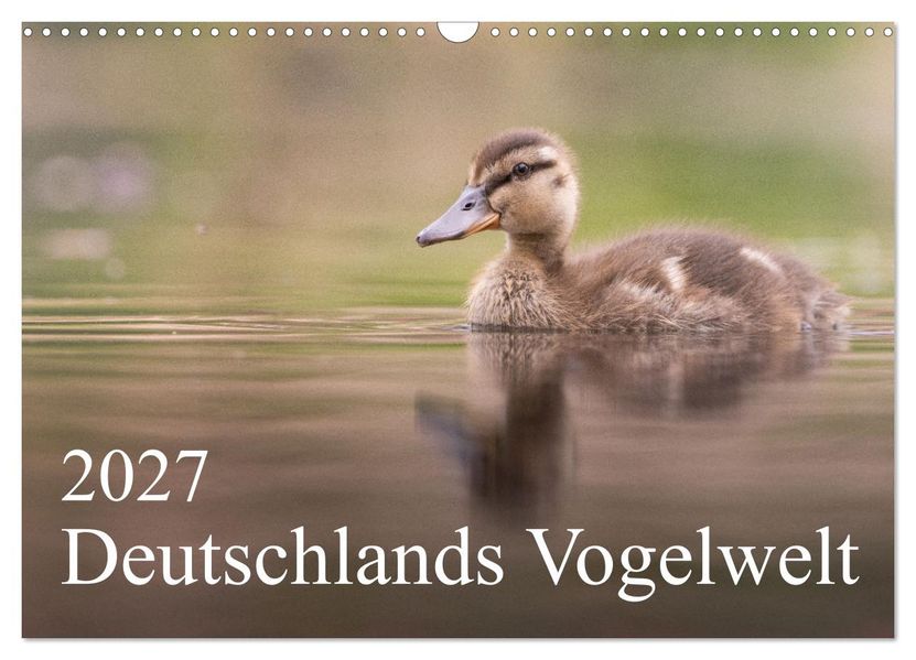 Deutschlands Vogelwelt (Wandkalender 2027 DIN A3 quer) CALVENDO Monatskalender
