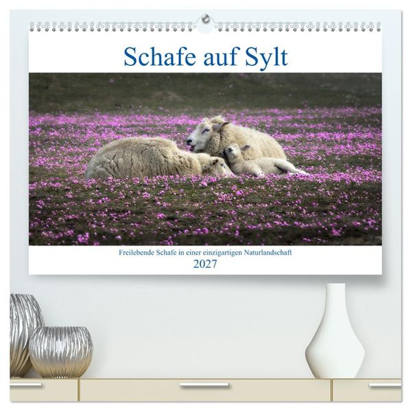 Schafe auf Sylt (hochwertiger Premium Wandkalender 2027 DIN A2 quer) Kunstdruck in Hochglanz
