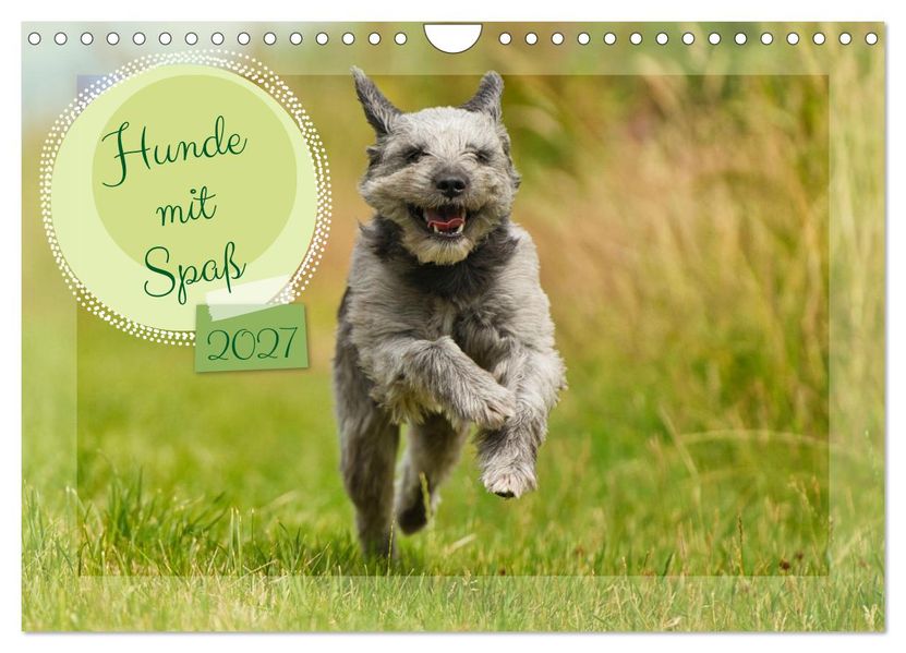 Hunde mit Spaß (Wandkalender 2027 DIN A4 quer) CALVENDO Monatskalender